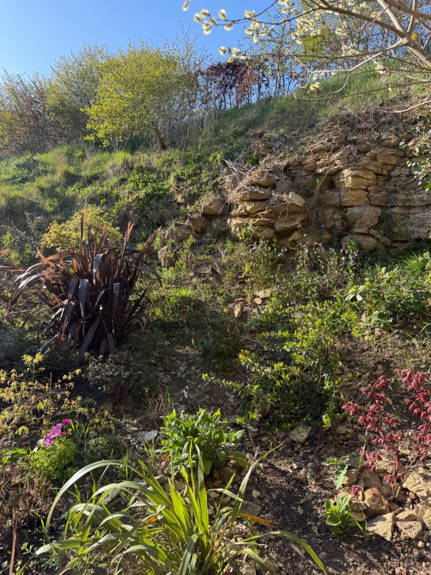 צ'יפנהאם Mulberry House Farm Mulberry Lodge מראה חיצוני תמונה